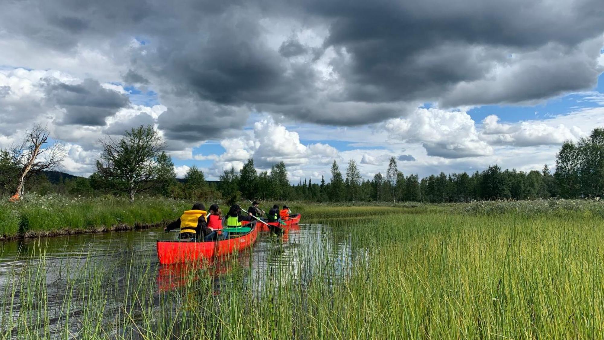 Storberg Wildact Adventure Ab旅馆 外观 照片