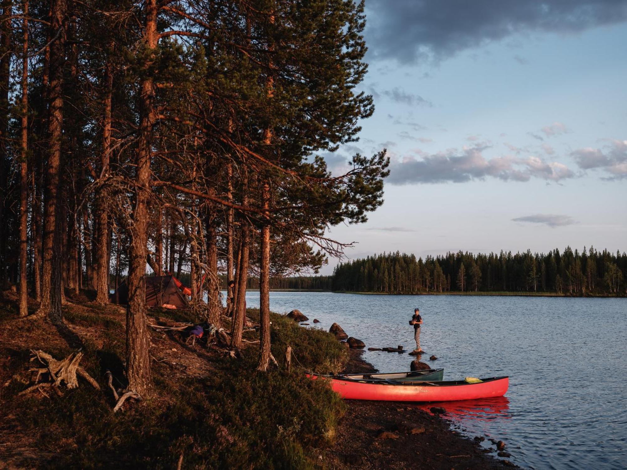 Storberg Wildact Adventure Ab旅馆 外观 照片