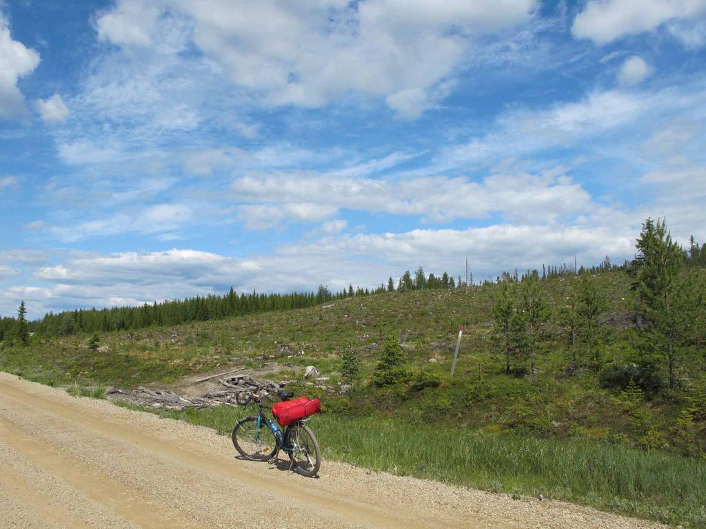 Storberg Wildact Adventure Ab旅馆 外观 照片